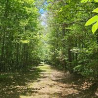 30 Acres in Oktibbeha County MS images 5