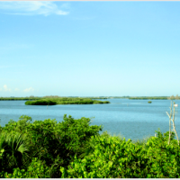 Pelican Island NWR 5,376 acres Pelican Hunting Land in Vero Beach, FL images 3