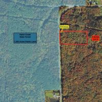 Building Lot and Hunting Land 5 acres across from State Land in Gerry NY Herrick Rd images 2