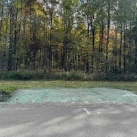 Building Lot and Hunting Land 5 acres across from State Land in Gerry NY Herrick Rd images 5