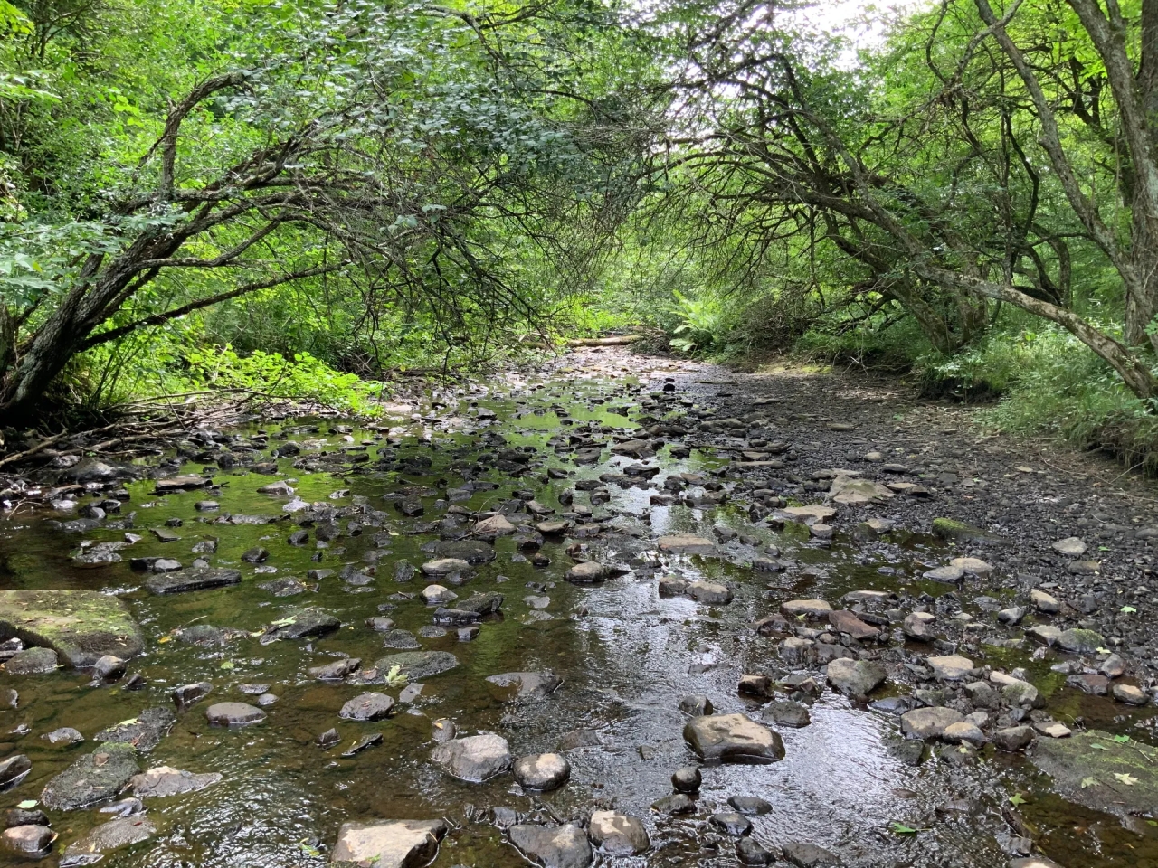 170 acres Farmland and Woods Brookfield NY Hunting Land for Sale
