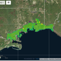 68,000 acres St. Marks MWR deer hunting land in St. Marks, FL images 2