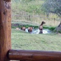 Sky Band Retreat images 3