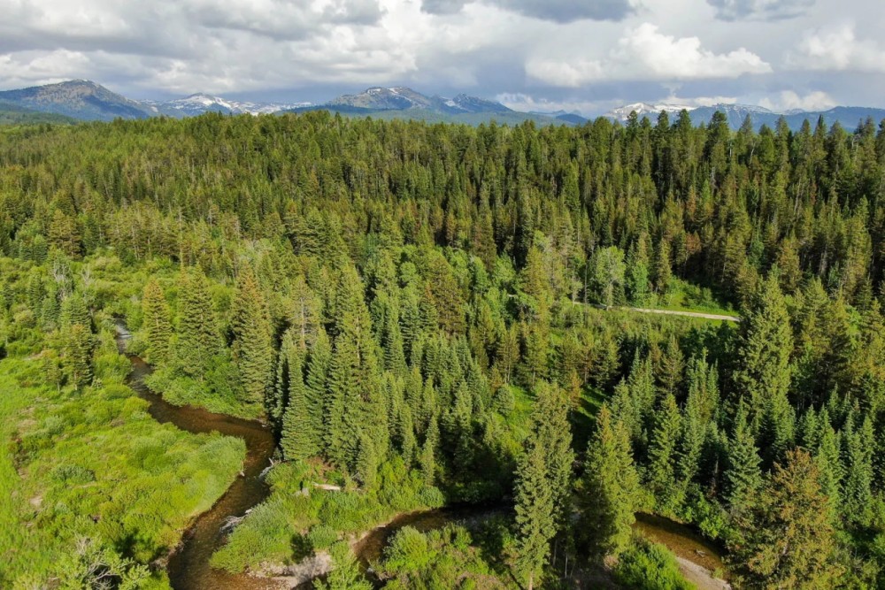 North Leigh Creek Ranch featured image