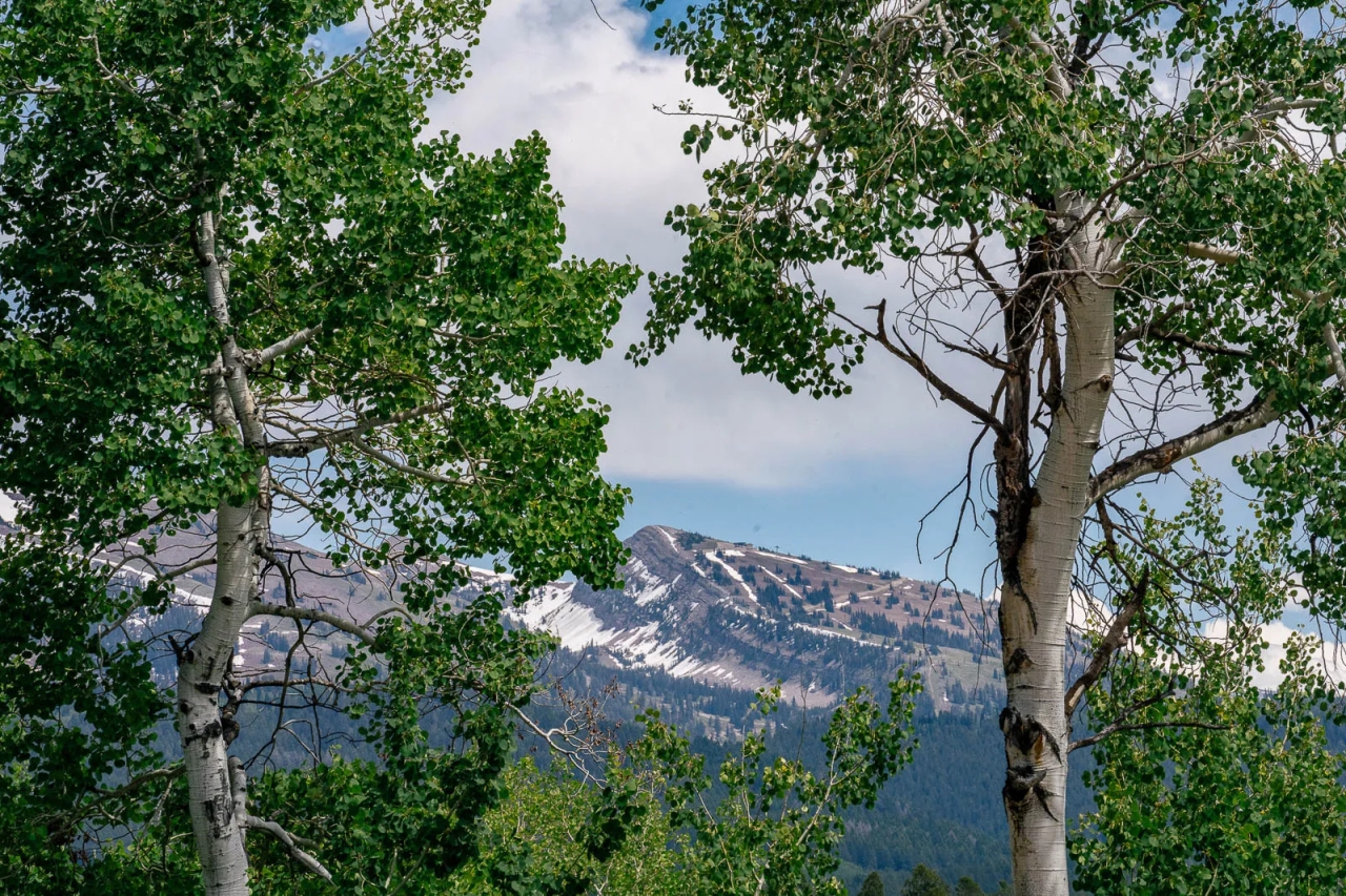 North Leigh Creek Ranch Hunting Land for Sale