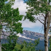 North Leigh Creek Ranch images 3