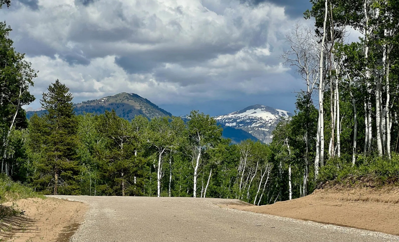 North Leigh Creek Ranch Hunting Land for Sale