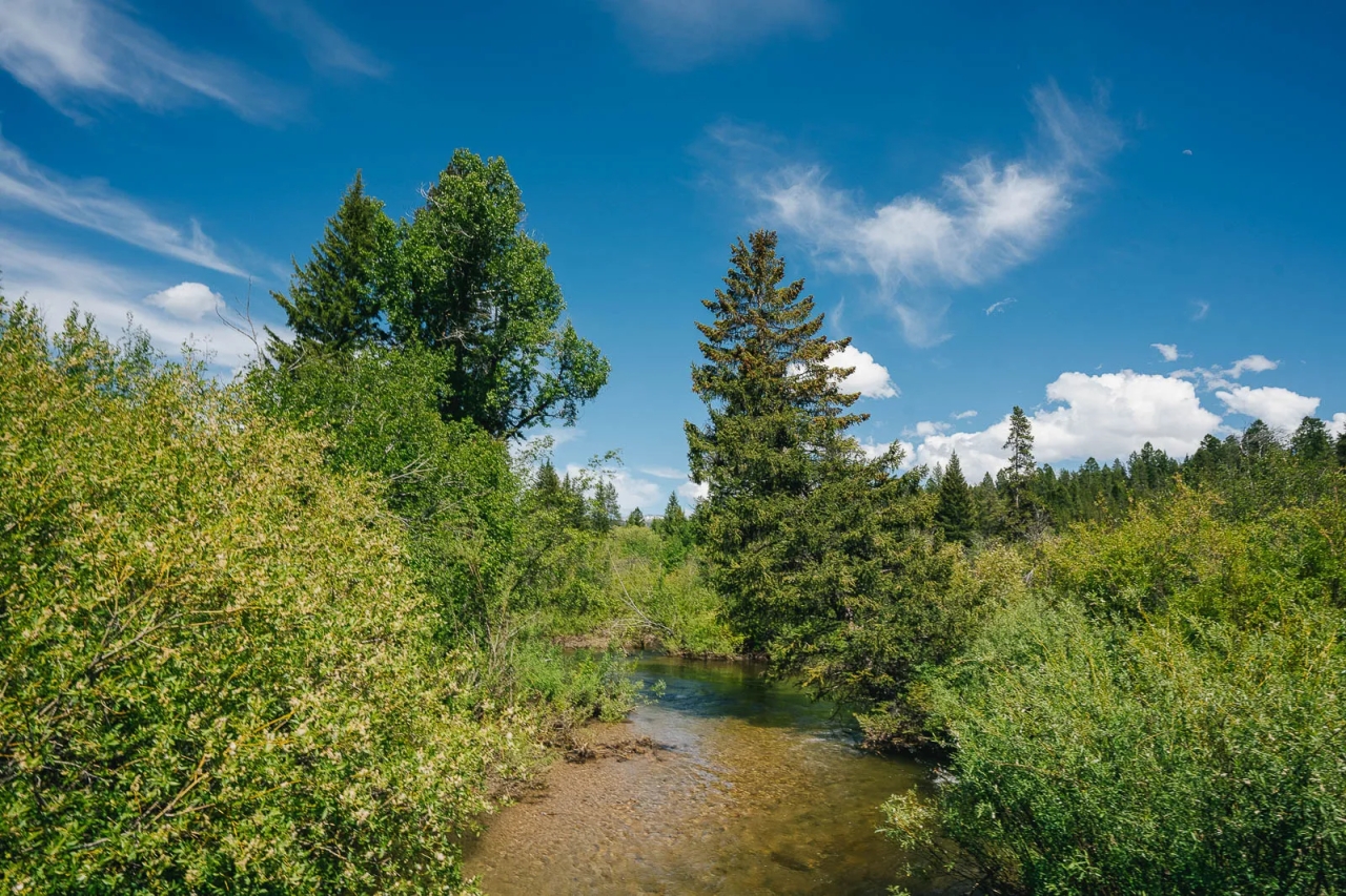 North Leigh Creek Ranch Hunting Land for Sale