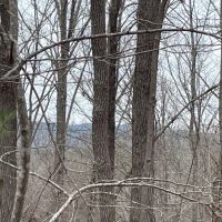 REDUCED 7.5 Acre Tract 1 on Whitmire Church Road images 2