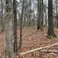 REDUCED 7.5 Acre Tract 1 on Whitmire Church Road images 5