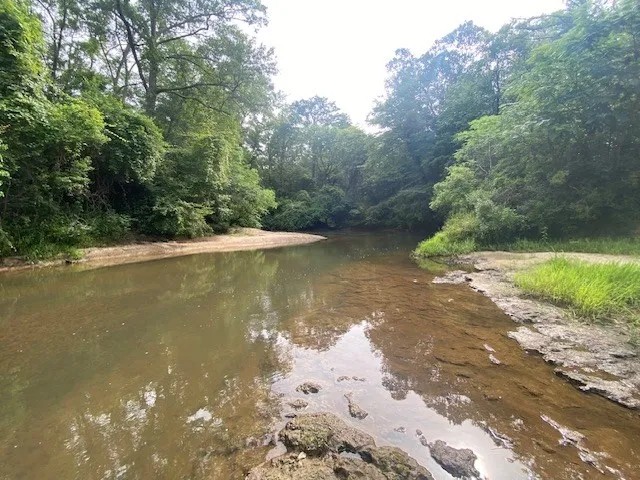 142 Acres on Magee s Creek featured image