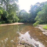 142 Acres on Magee s Creek