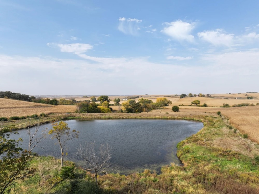 114 acres Harrison County Iowa featured image