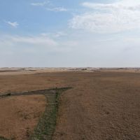 114 acres Harrison County Iowa images 5
