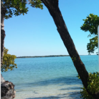 Ten Thousand Islands NWR 35,000 acres Bear Hunting Land in Goodland, FL images 3