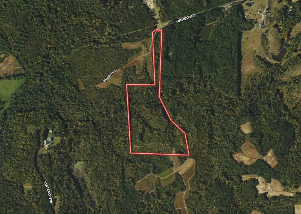 41.27 acres of Recreational Hunting Land For Sale in Caswell County NC featured image