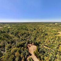 41.27 acres of Recreational Hunting Land For Sale in Caswell County NC images 2