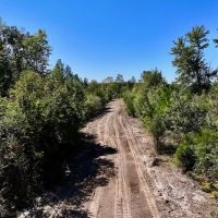 41.27 acres of Recreational Hunting Land For Sale in Caswell County NC images 5