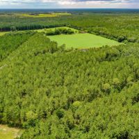 23 Acres on Camp Branch Rd in Ware County GA