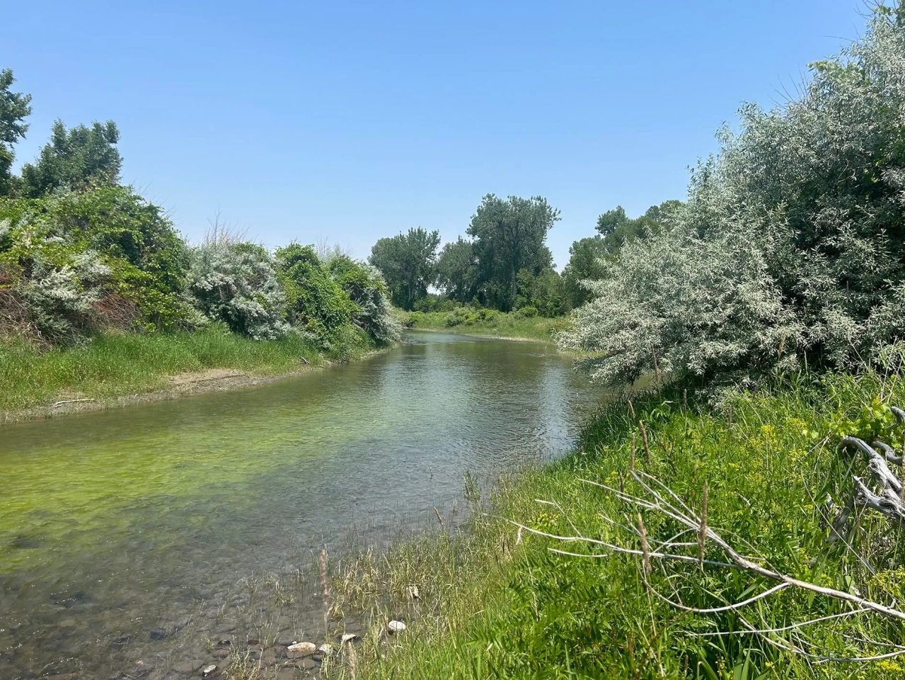 Yellowstone River Hunting Retreat Hunting Land for Sale
