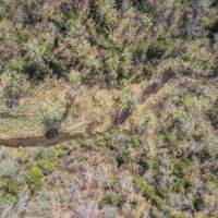 West Fork Ranch Timber Live Water Development Potential images 5