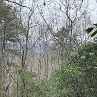 REDUCED 7.5 Acre Tract 2 on Whitewater Point Road