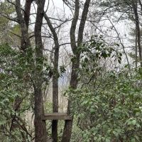 REDUCED 7.5 Acre Tract 2 on Whitewater Point Road images 4
