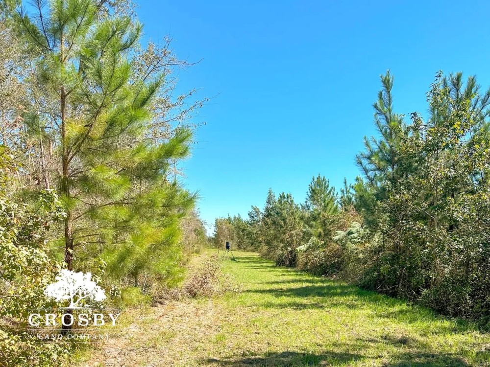 Minnow Road Tract featured image