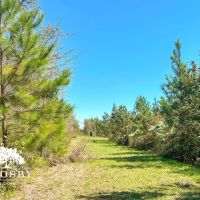 Minnow Road Tract