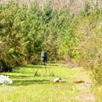 Minnow Road Tract images 2