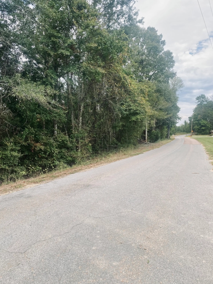 6.41 acres on Cub Brown Rd Monticello MS Hunting Land for Sale