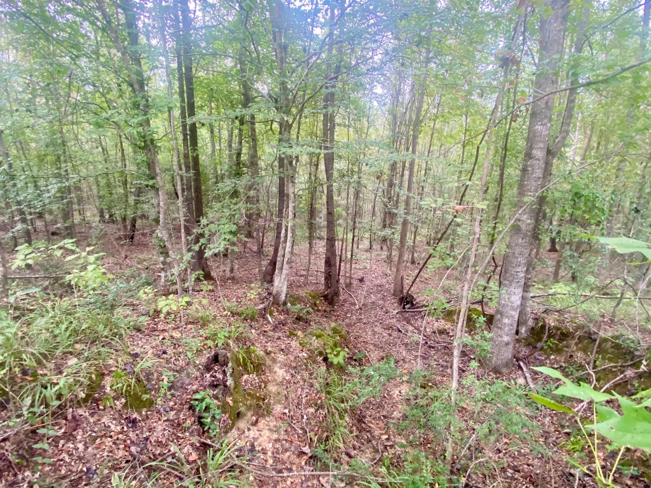 6.41 acres on Cub Brown Rd Monticello MS Hunting Land for Sale