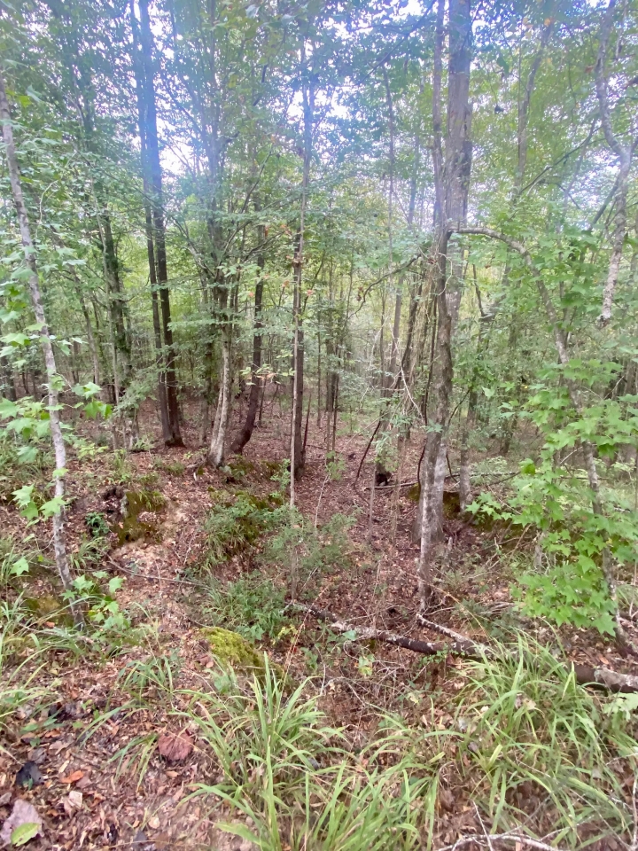 6.41 acres on Cub Brown Rd Monticello MS Hunting Land for Sale