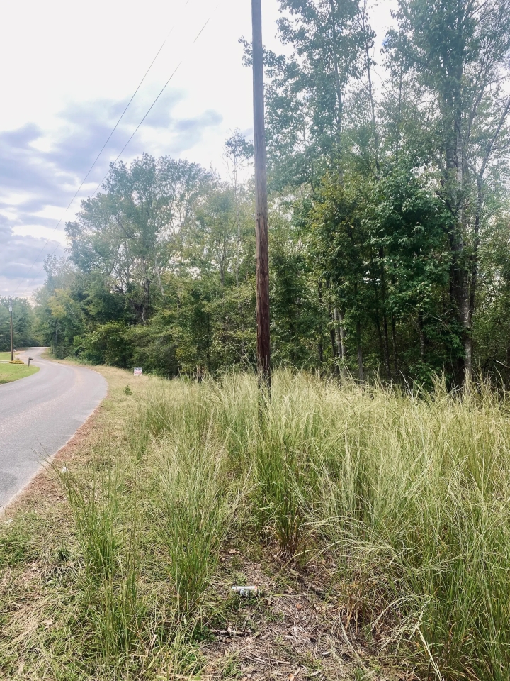 6.41 acres on Cub Brown Rd Monticello MS Hunting Land for Sale