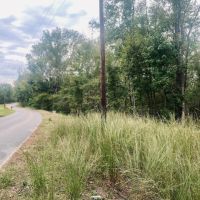 6.41 acres on Cub Brown Rd Monticello MS images 4