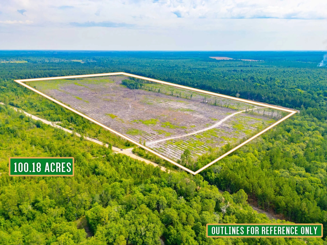 Scotland Rd Hunting and Investment tract Hunting Land for Sale