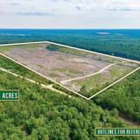 Scotland Rd Hunting and Investment tract images 3