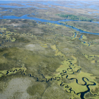31,000 acres Chassahowitzka NWR Waterfowl Hunting Land in Kings Bay Dr, FL images 4