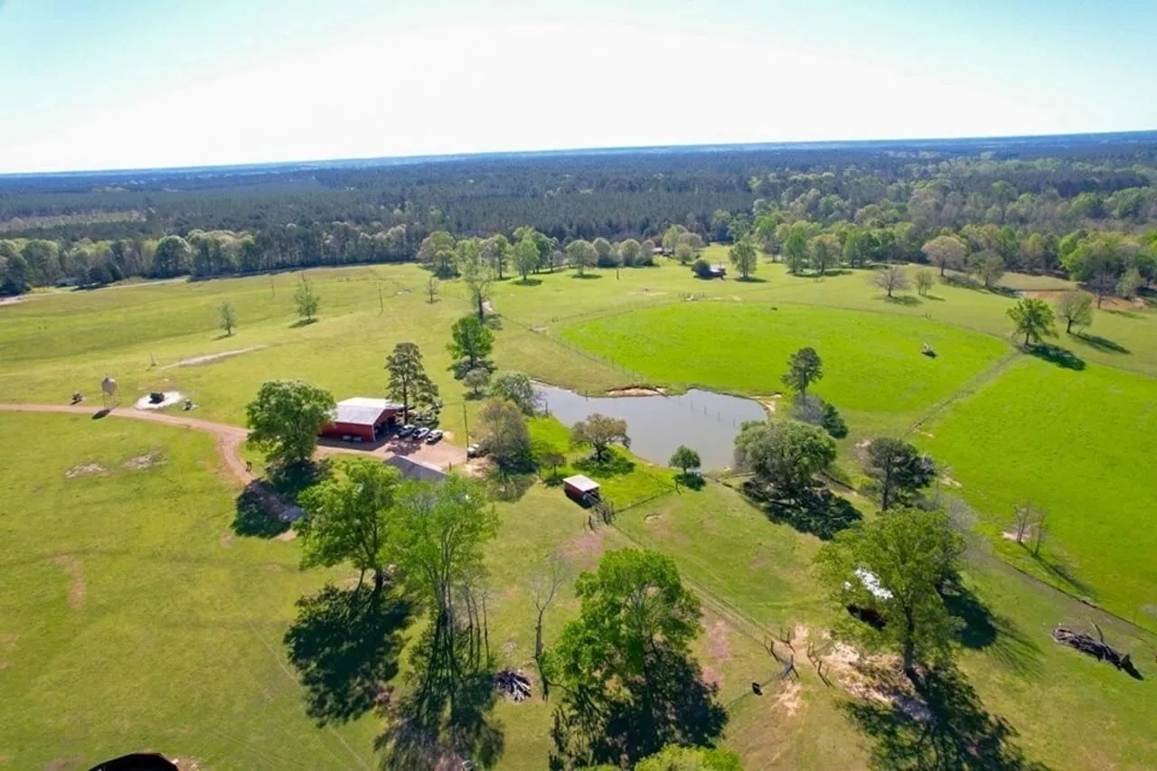 192 Acres of Land with 3 BR Hunting Lodge Hunting Land for Sale