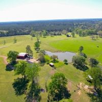 192 Acres of Land with 3 BR Hunting Lodge images 5