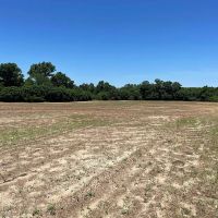 60 Acres in Irwin County Georgia images 3
