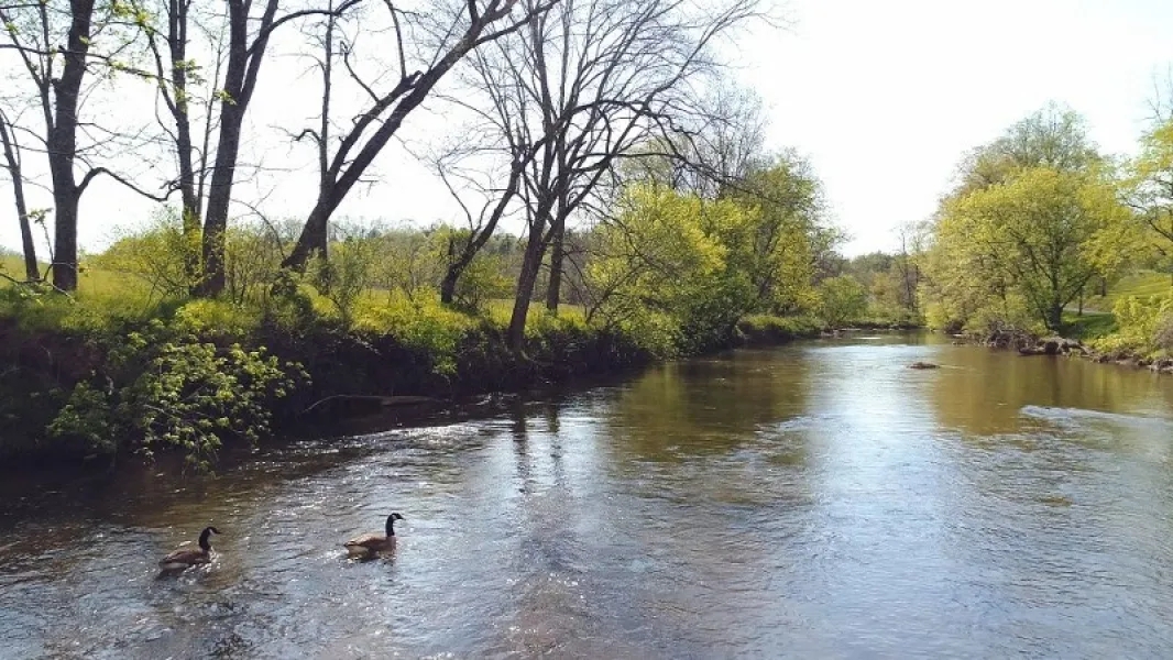 62 Acres of Prime Riverfront Farmland For Sale in Floyd Virgina