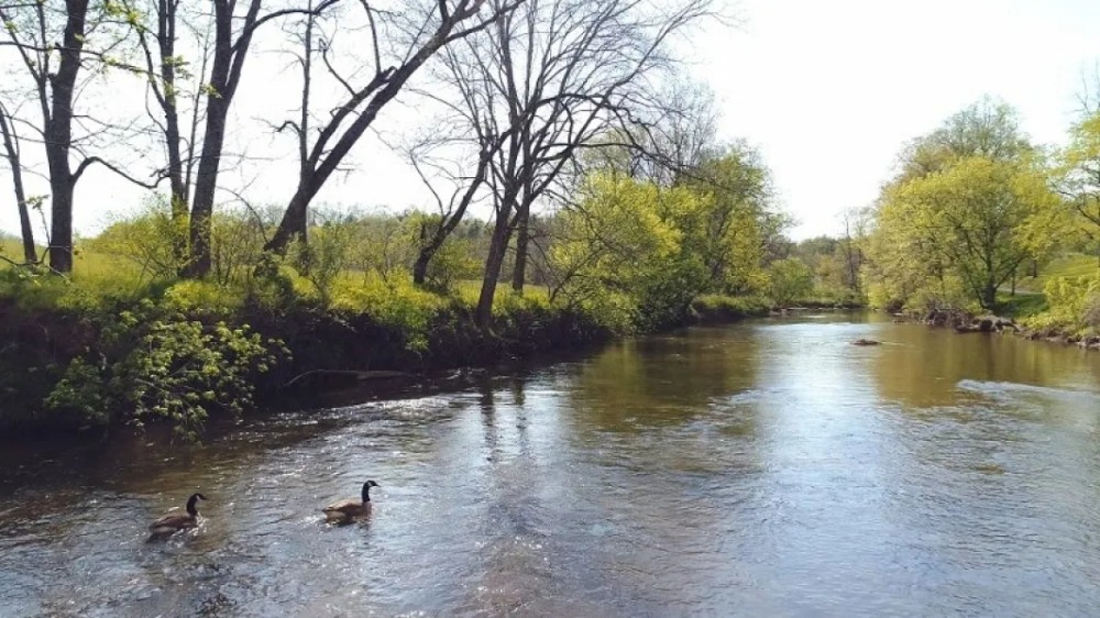 62 Acres of Prime Riverfront Farmland For Sale in Floyd Virgina
