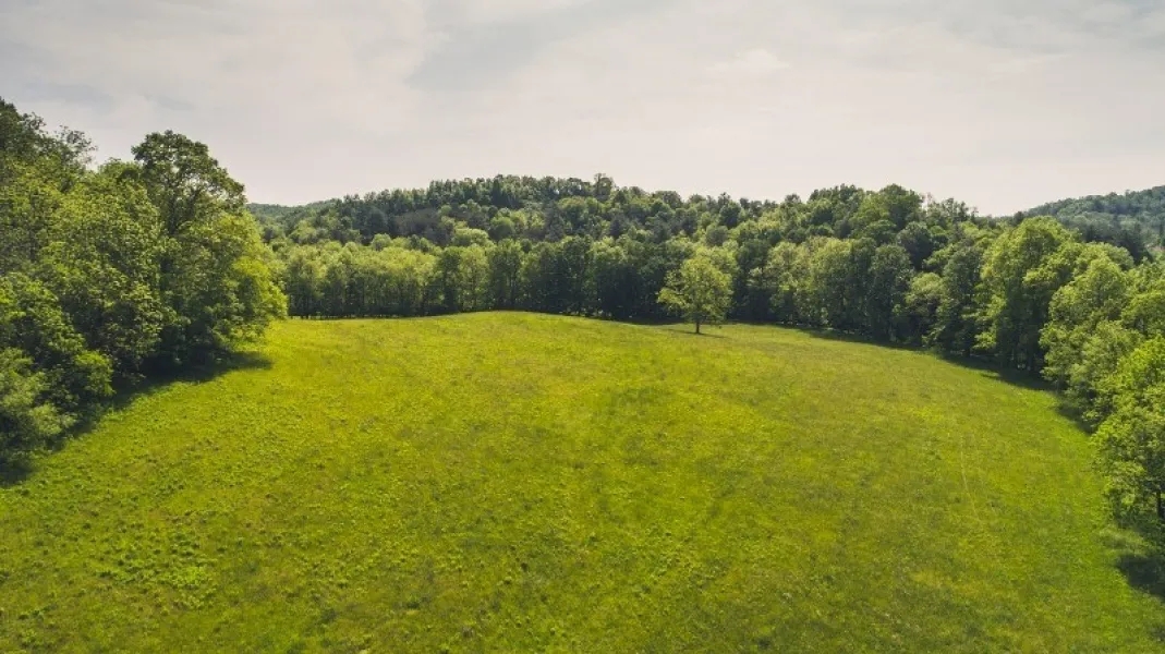 62 Acres of Prime Riverfront Farmland For Sale in Floyd Virgina