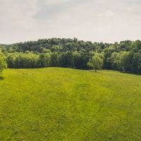 62 Acres of Prime Riverfront Farmland For Sale in Floyd Virgina images 4
