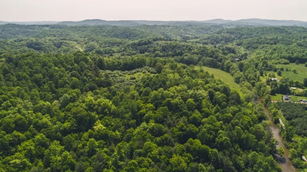 62 Acres of Prime Riverfront Farmland For Sale in Floyd Virgina