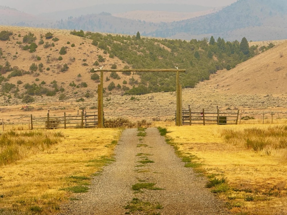 Coveted Crow Creek Property featured image