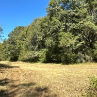 Prime Location for Hunting or a Home images 4