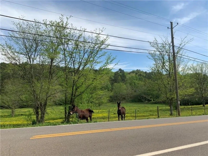 Land Tract Without Restrictions For Sale in Northwest GA Hunting Land