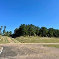 150 Acres in Winston County MS images 2